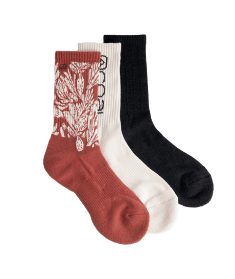 Coal Everyday Crew 3 Pack Socks