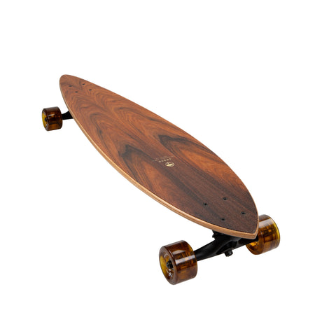 Arbor Fish Groundswell Complete Longboard