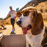 Goodr OGS Bosley's Basset Hound Dreams Sunglasses